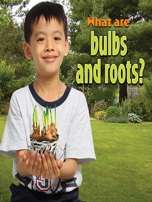 cover image of What are bulbs and roots?